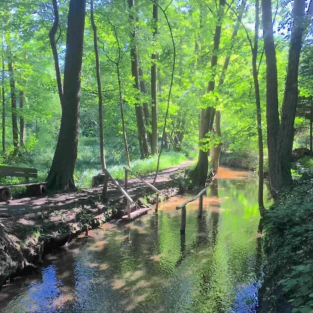 Σπίτι διακοπών Gartenhaus Mit Sauna Am Buckowsee, Maerkische Schweiz